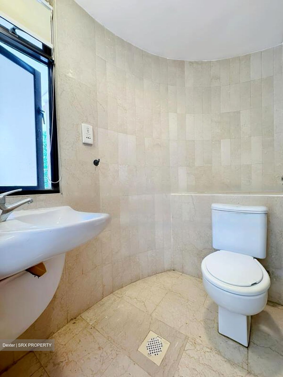The Balmoral (D10), Condominium #481123231